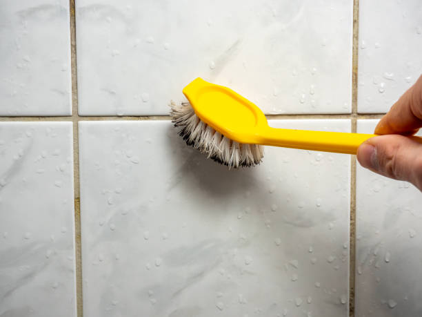 Best Mold Remediation for Schools in El Cerro, NM