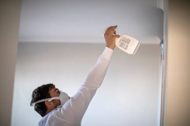 Best Health and Safety Mold Remediation in El Cerro, NM